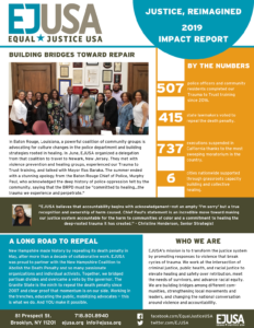 EJUSA's 2019 Impact Report