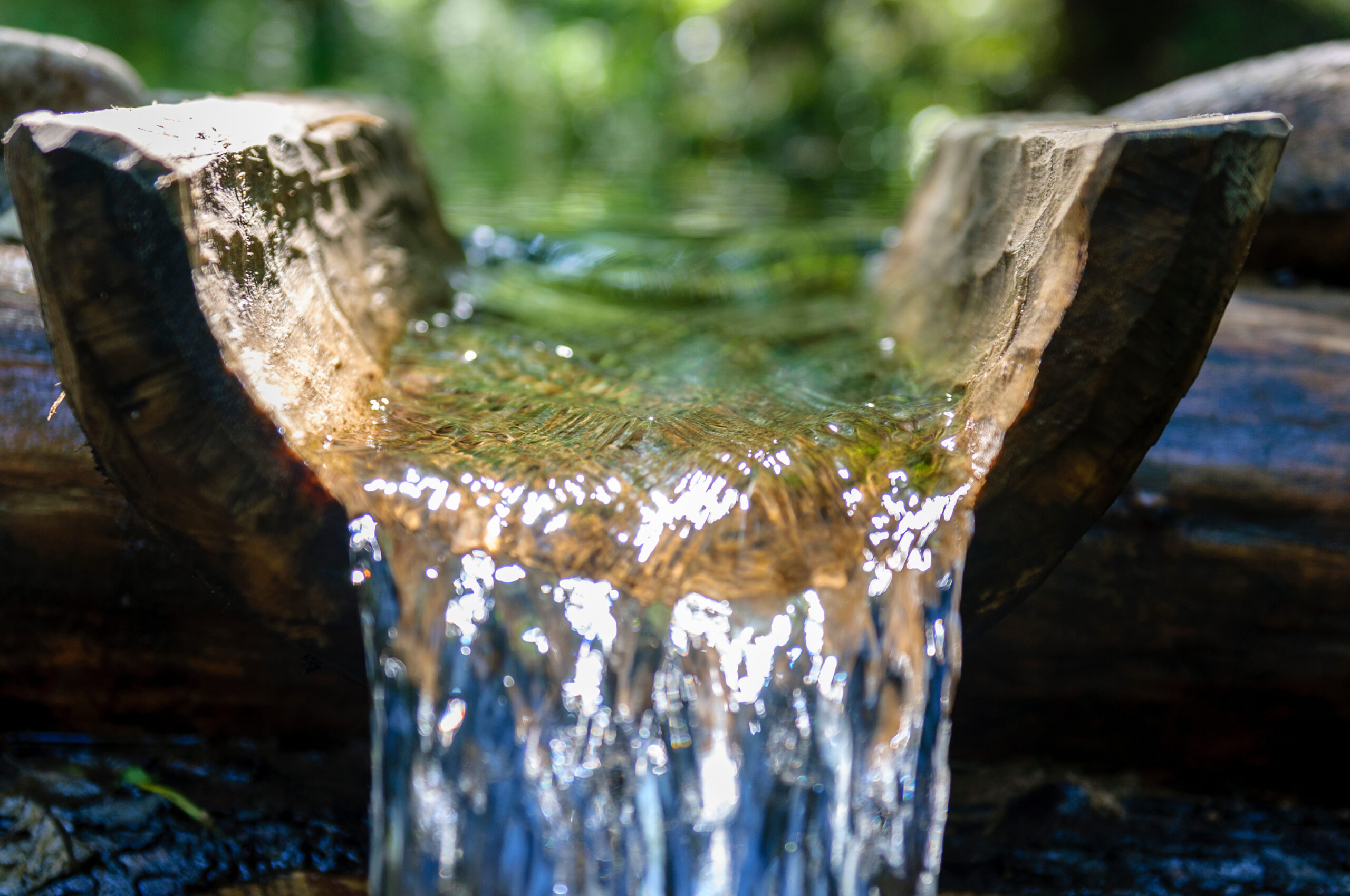 Water on the wood, healing, water trickling, green back drop